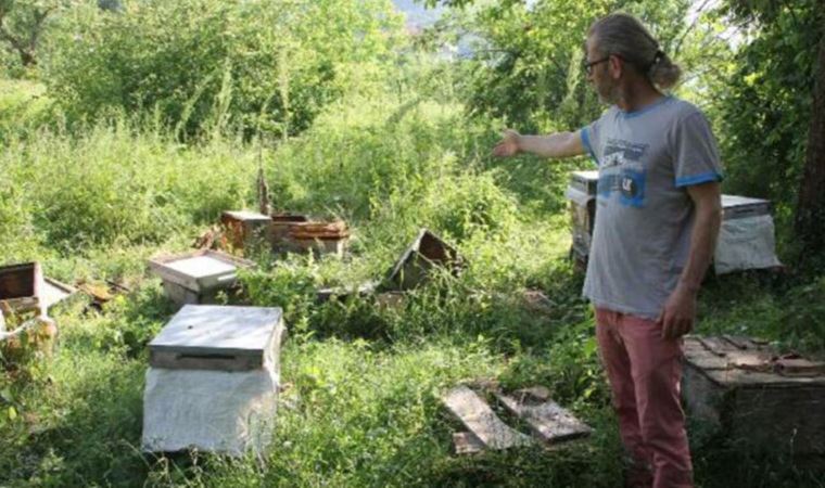 Arı kovanlarını parçalayan ayı, fotkapanla görüntülendi