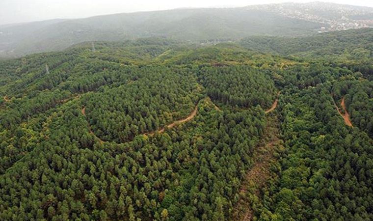 Prof. Dr. Erdoğan Atmış: İktidarlarını korumak için doğayı betona kurban ettiler