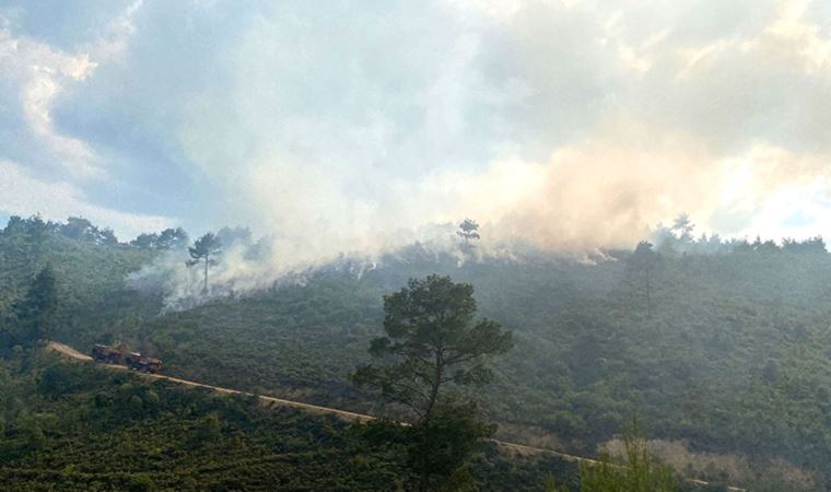 Manisa'da orman yangını (09 Haziran 2022)