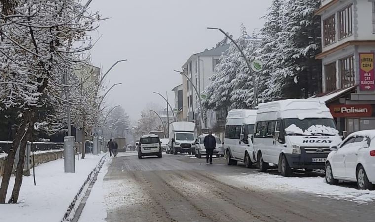 Ölen inek kuduz çıktı, Hozat'a 6 ay hayvan giriş- çıkışı yasaklandı