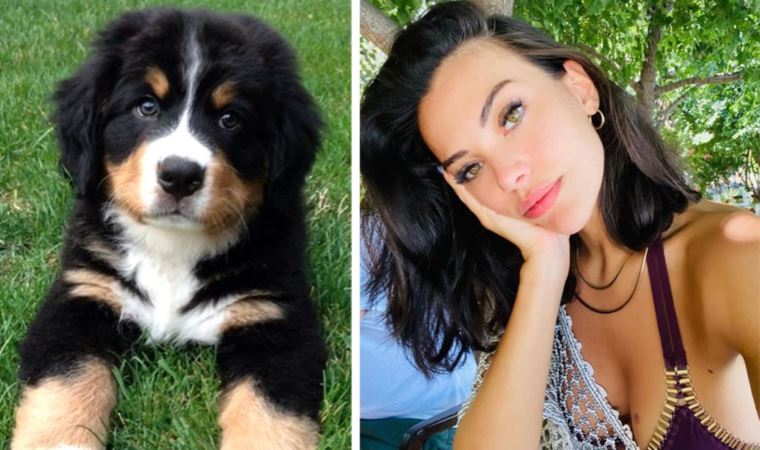 Köpeğini kurtarmak için canını tehlikeye attı: Tuvana Türkay o anları anlattı...