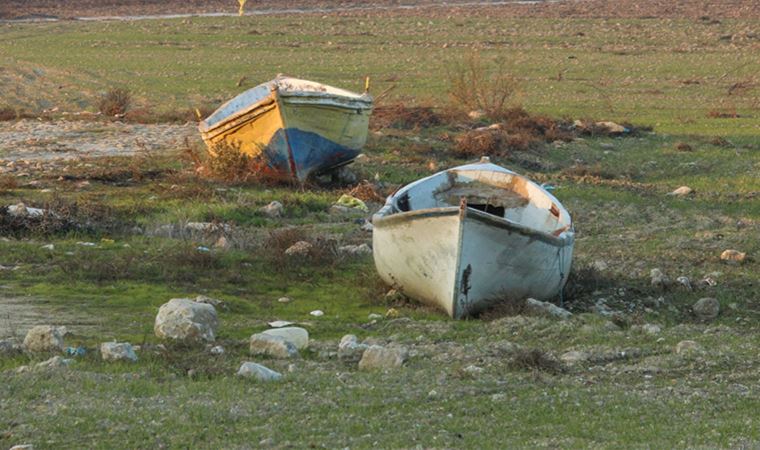 Çevre kirliliği ve kuraklık tüm gezegeni etkisi altına aldı, ortaya çıkan tablo korkutuyor