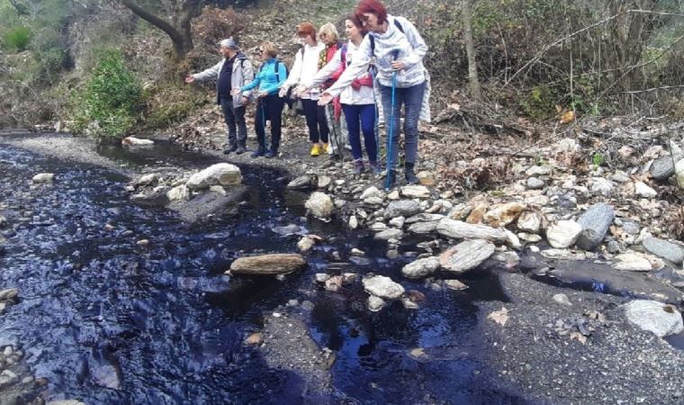 Timinciler Çayı siyaha büründü, çevreciler isyan etti