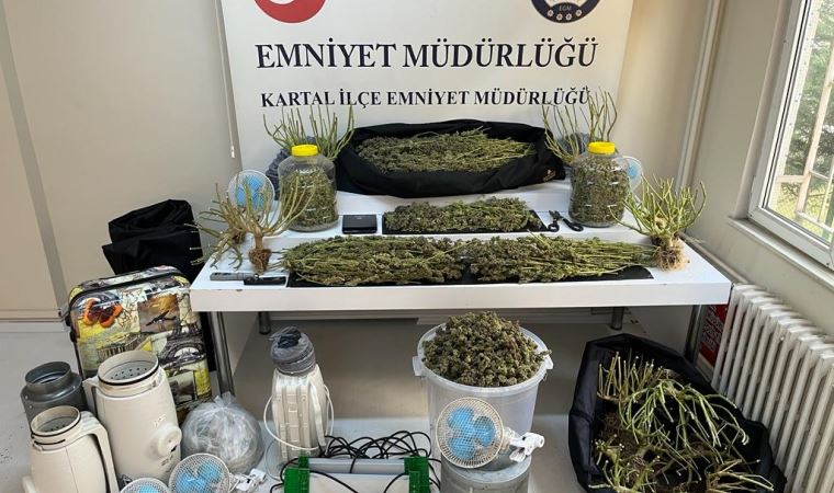 Kartal’da evi uyuşturucu serasına çevirdiler