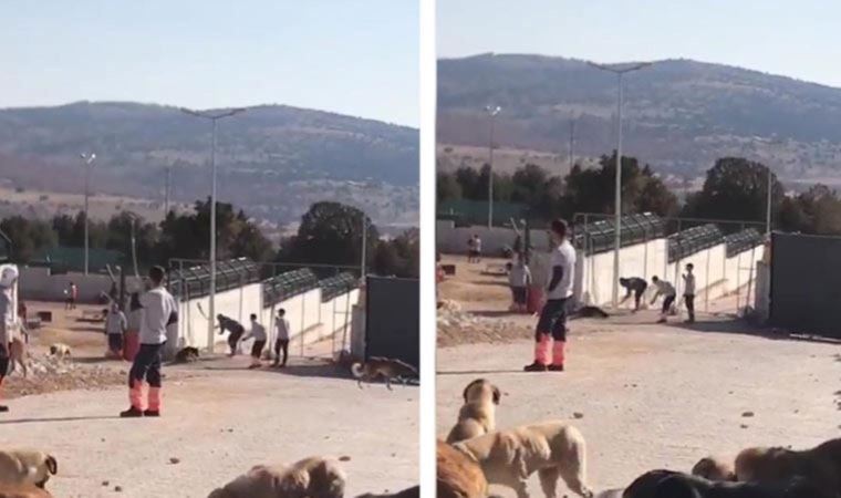 HAYTAP, Konya'daki vahşete karşı imza kampanyası başlattı