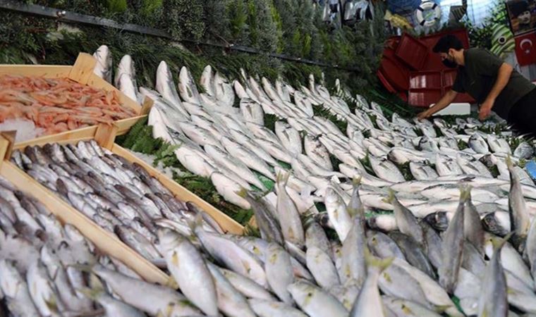 Hamside bolluk başladı, fiyatlar düştü