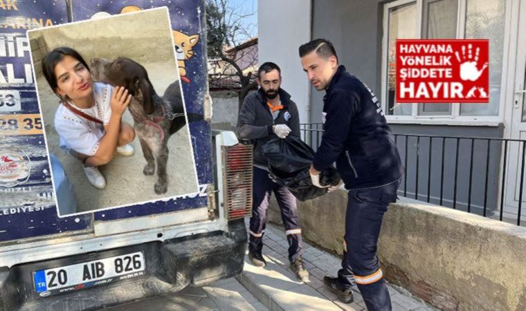 Soruşturma başlatıldı: Kulübeye bağlı köpeği yakarak katlettiler