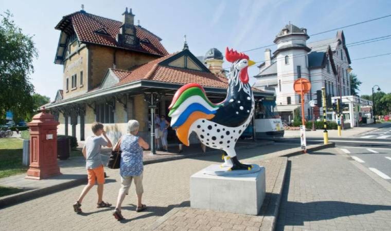 Belçika polisi çok sayıda otel, restoran ve kafeyi dolandıran ‘bedavacı müşteriyi’ arıyor