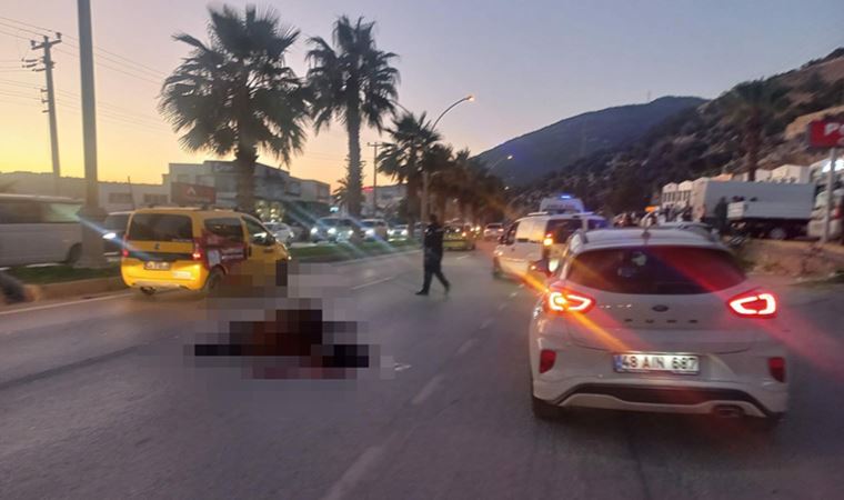 Bodrum'da acı kaza: Otomobilin çarptığı at öldü