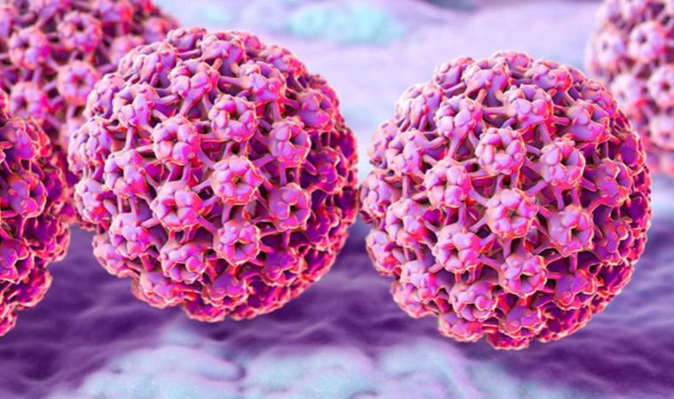 Uzmanlar açıkladı: HPV nedir? HPV nasıl bulaşır? HPV'nin belirtileri nelerdir?