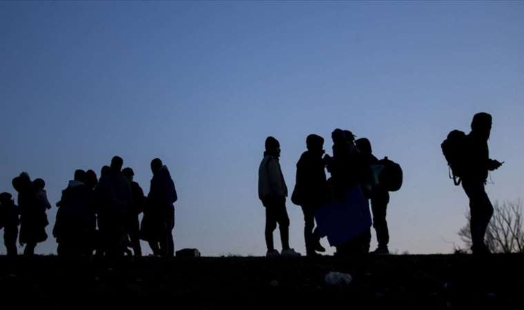 Yasadışı yollarla Türkiye'ye giren 15 düzensiz göçmen Kırklareli'nde yakalandı!