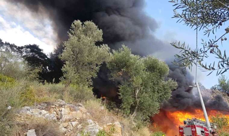 Fethiye Göcek’te orman yangını