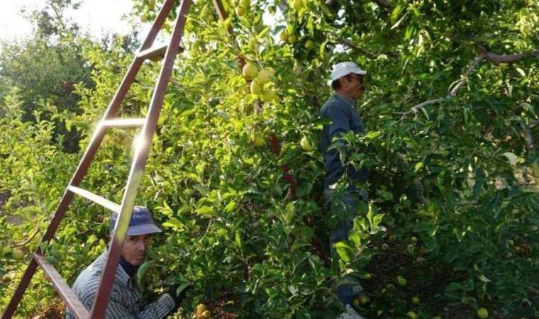 Burdur'da hasadı başladı: Cennet bahçesinden evlere...