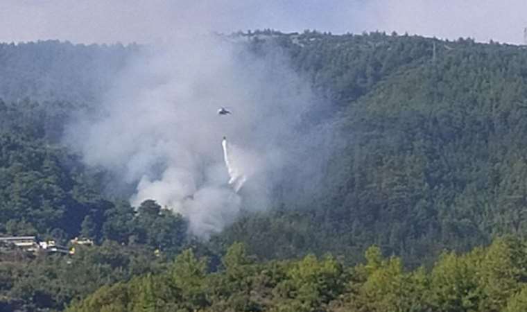 Son Dakika: Alanya’da orman yangını