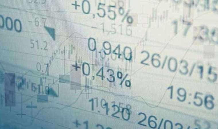 Devlet İç Borçlanma Senetleri (Government Domestic Borrowing Securities) nedir?