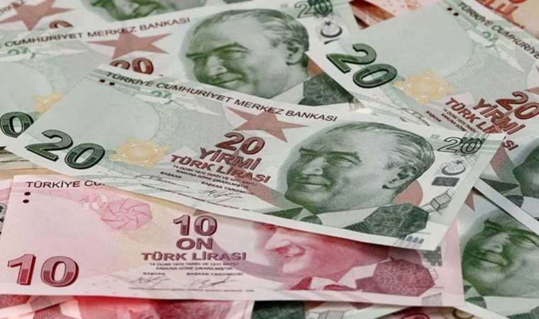 Dolaşımdaki banknotlar (Banknotes in Circulation) nedir?