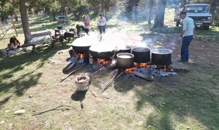 Köylüye ekmek kapısı, Türkiye'ye de şifa oluyor!  Toros Dağları'ndan yayılan lezzet