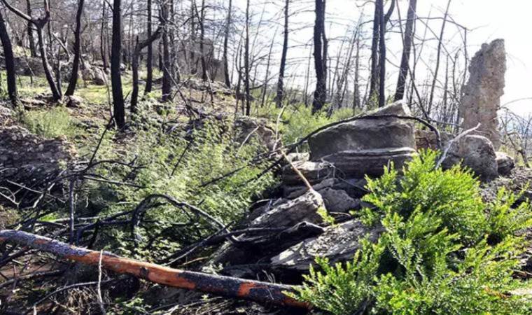 Eski Roma dönemine ait 1,5 metrelik lahit Isparta'da ele geçirildi!