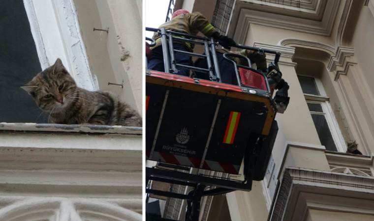 İstiklal Caddesi'nde film gibi 'kedi kurtarma' operasyonu