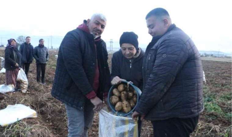 Afyonkarahisar'da hasat dönemi sona erdi: Sandıklı'da Agriya patatesi hasadı...