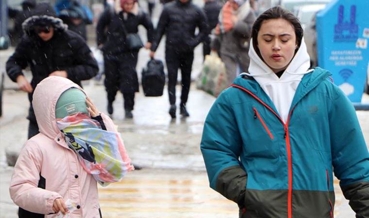 Erzurum'da fırtına: Çatılar uçtu, ağaçlar devrildi