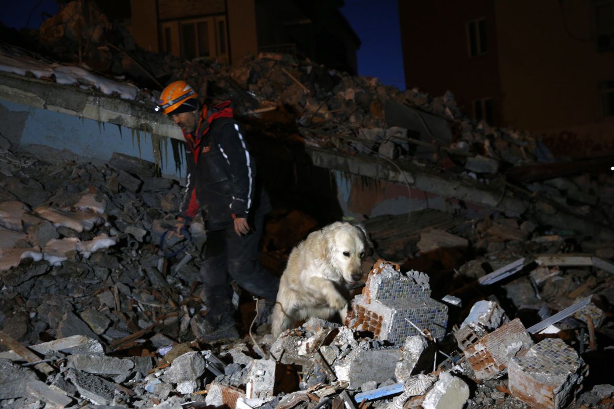 Arama kurtarma ekipleri dört gözle "Poyraz"ın havlamasını bekliyor