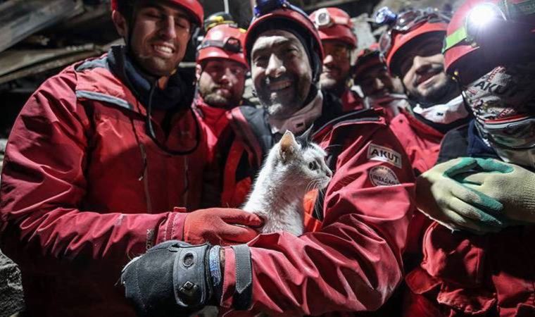 Hatay'daki enkazdan 'Holigan' 116 saat sonra canlı olarak çıkarıldı