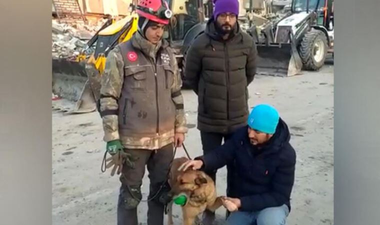 'Sıla', Malatya'da 12 kişinin sağ kurtarılmasını sağladı