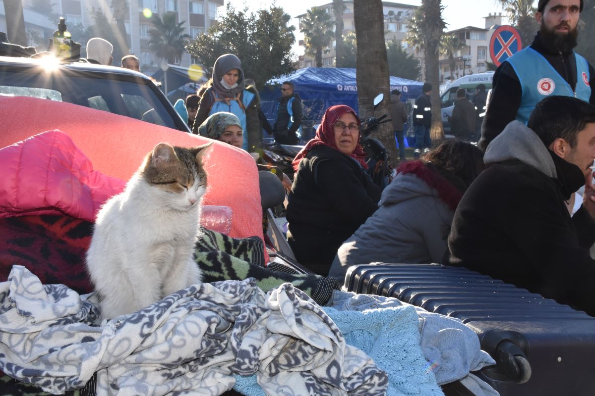 Kahramanmaraş depremlerinde sadece insanlar değil hayvanlar da kurtarıldı