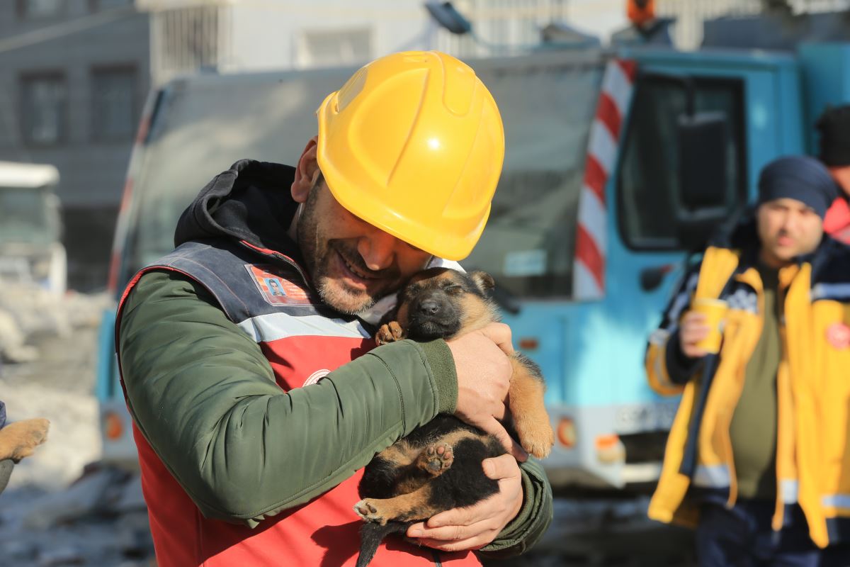 Kahramanmaraş depremlerinde sadece insanlar değil hayvanlar da kurtarıldı