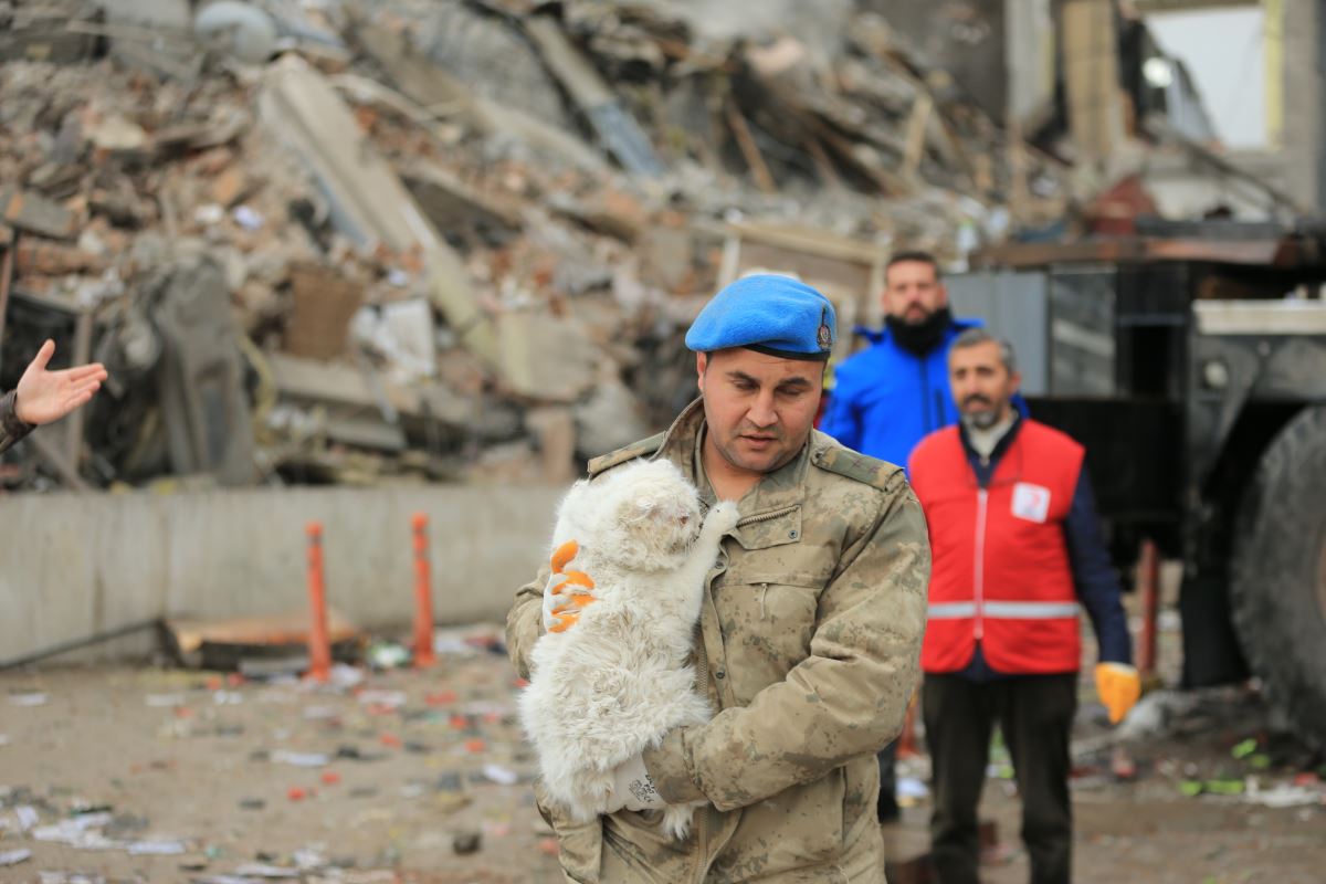 Kahramanmaraş depremlerinde sadece insanlar değil hayvanlar da kurtarıldı