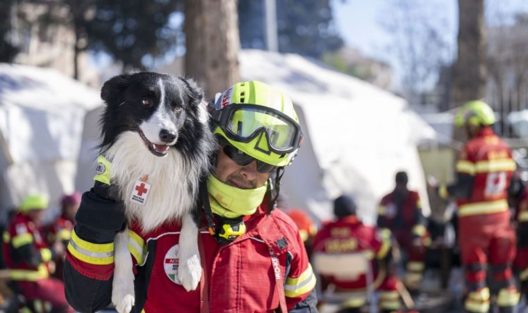 Arama kurtarma köpekleri, dünyanın dört bir yanından can kurtarmak için geldi