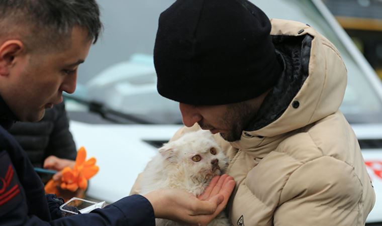 Diyarbakır'da çöken iş merkezinin enkazından bir kedi kurtarıldı