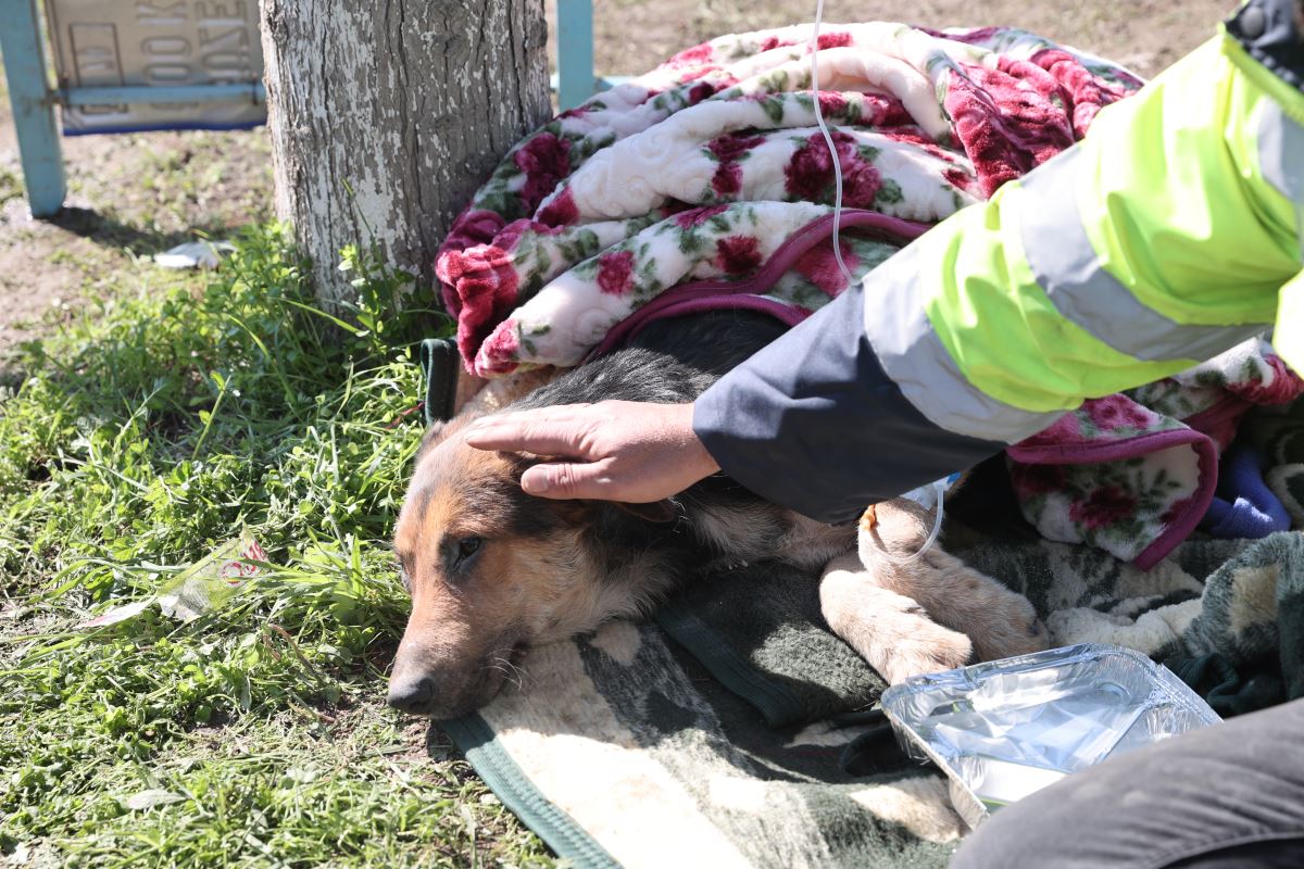 Depremden saatler sonra umut dolu kurtuluşlar