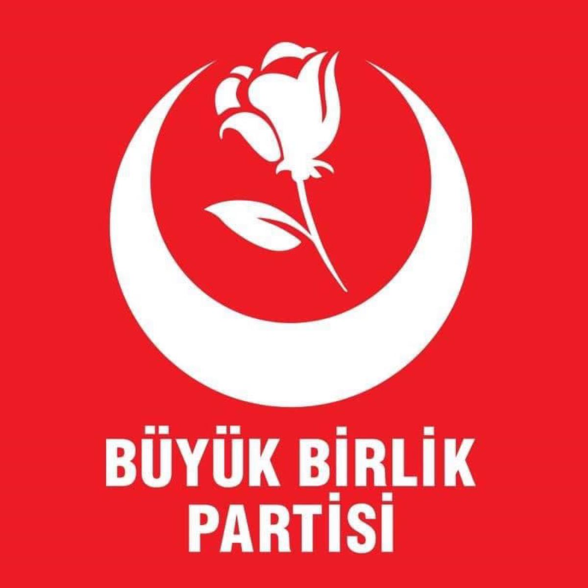 14 Mayıs'ta seçime hangi partiler katılacak? Partilerin seçime katılma şartları nelerdir?