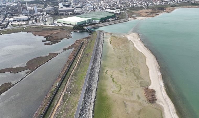 Kuraklık alarmı: Baraj gölünde balıkların olduğu yerde koyunlar otluyor