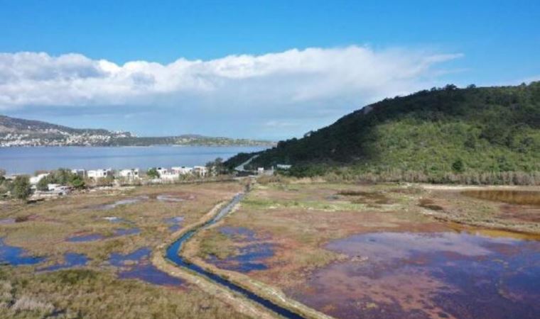 Bodrum'da Gölköy Kovalık Sulak Alanı için tehlike çanları