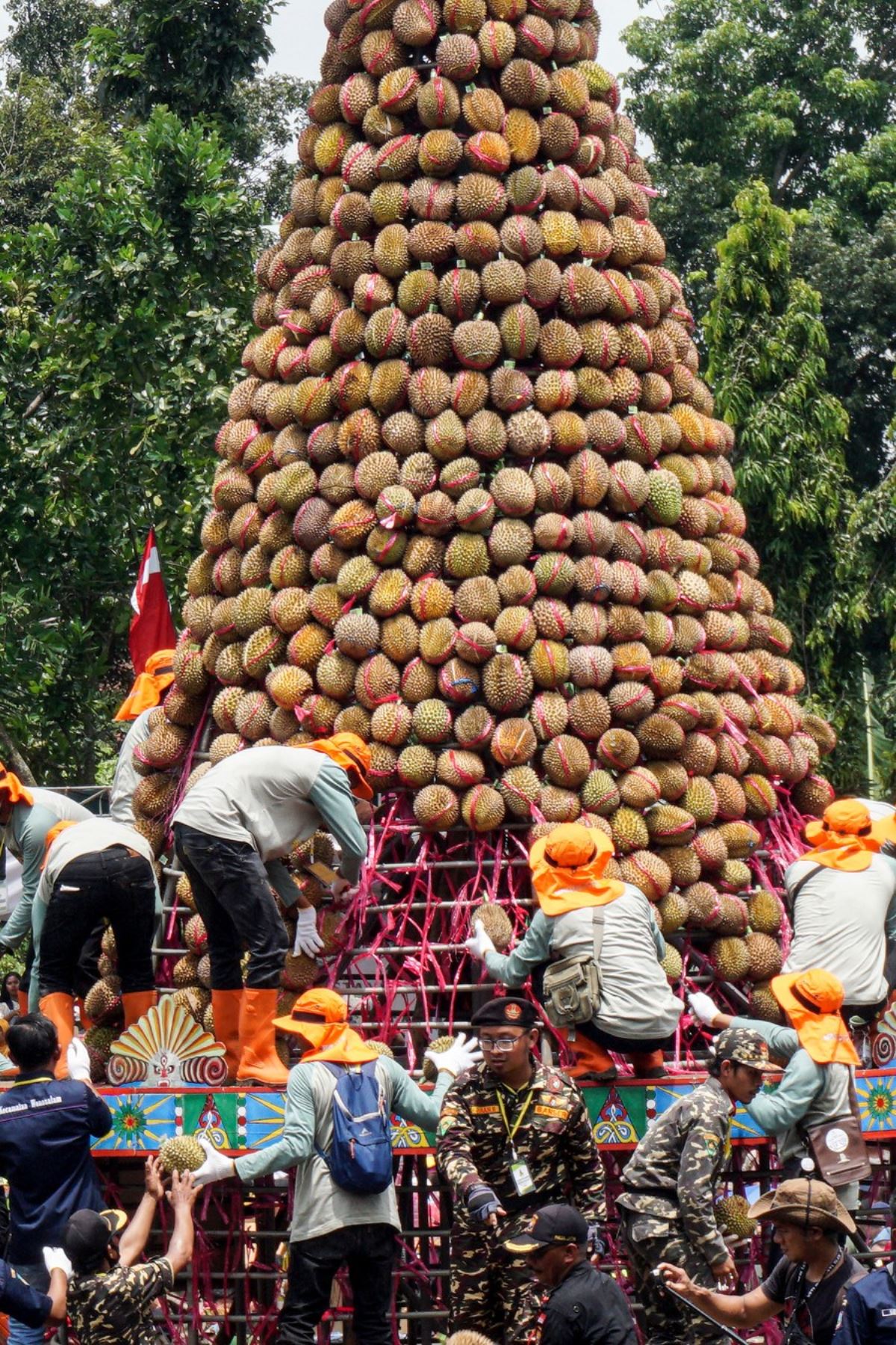 Endonezya'da durian festivali