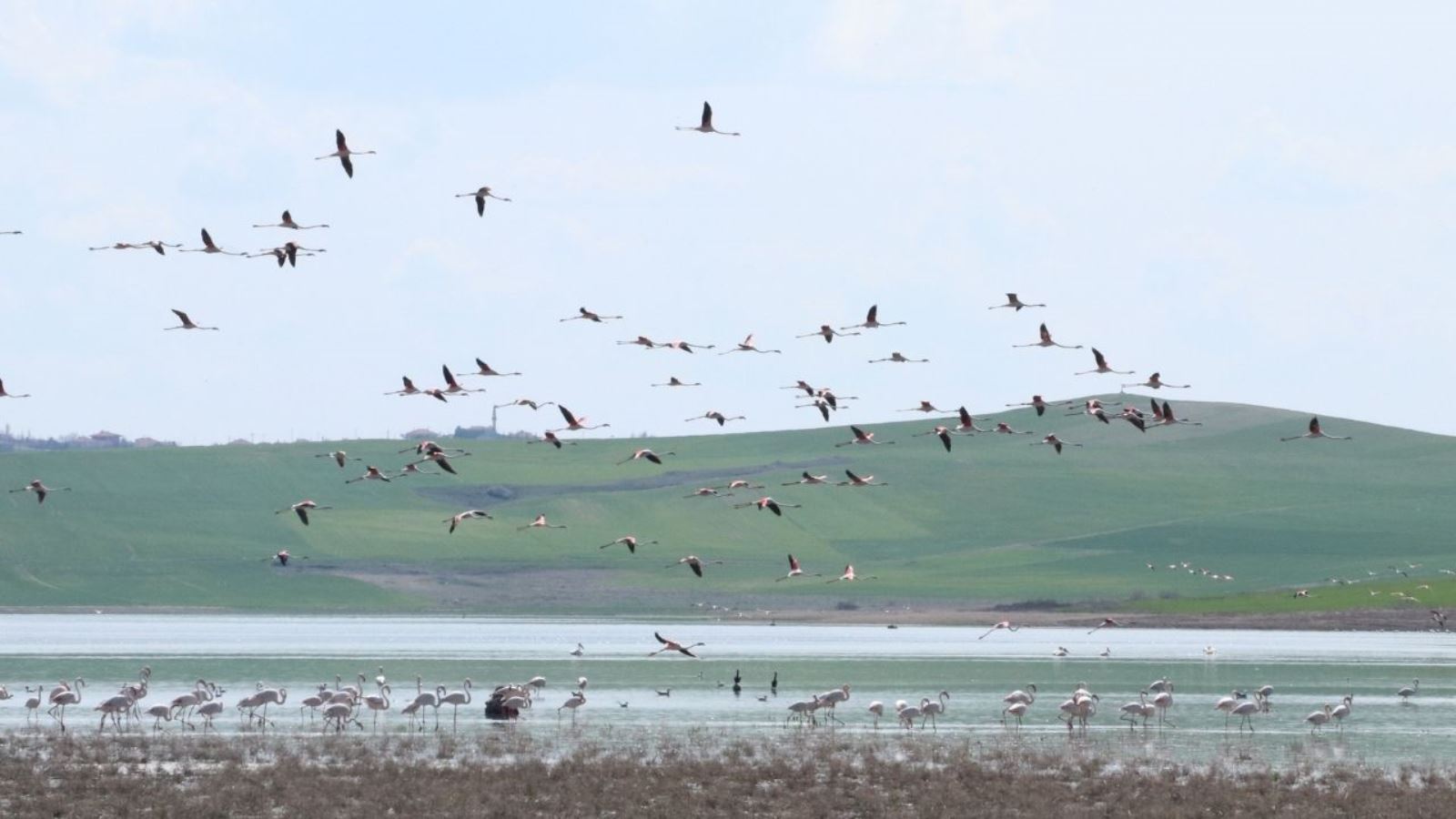 Yozgat’a misafir kuşların göç yolculuğu başladı