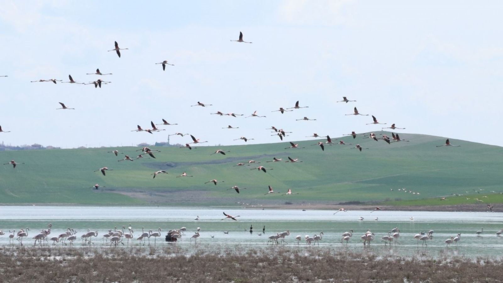 Yozgat’a misafir kuşların göç yolculuğu başladı