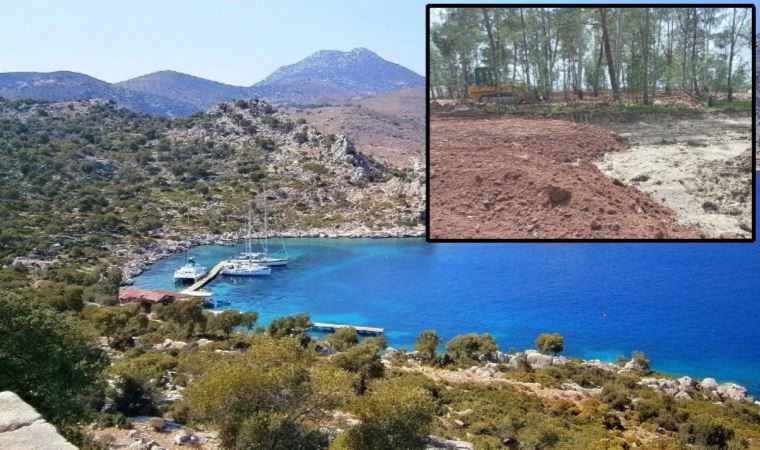 Muğla’da doğa katliamını yargı da durduramadı