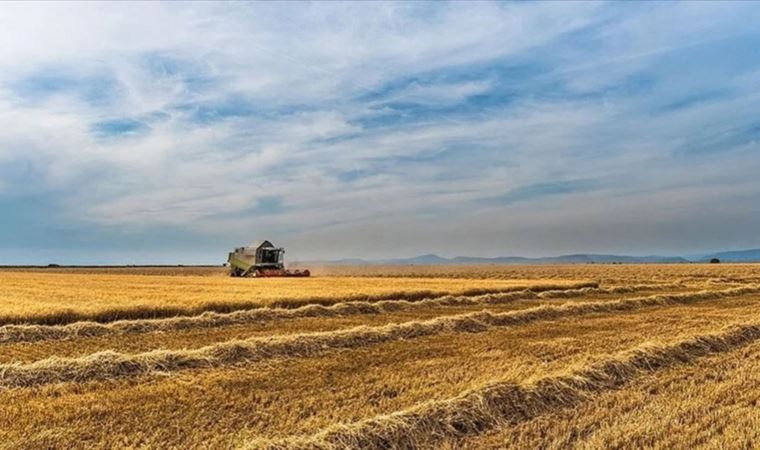 Hollanda'da hükümet ile çiftçiler arasındaki görüşmelerde anlaşma sağlanamadı