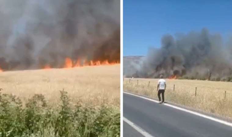 Diyarbakır'da ekili arazide yangın: 6 saatte söndürüldü, 150 dönüm buğday kül oldu