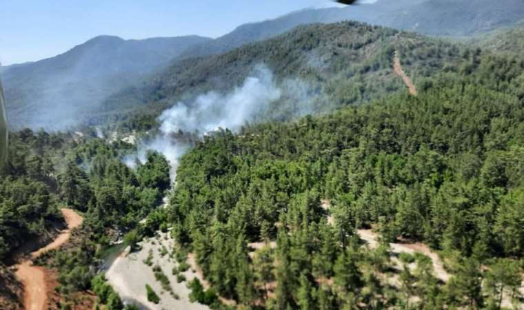 Muğla'da ormanlık alanda yangın: 1,5 saatte kontrol altına alındı!