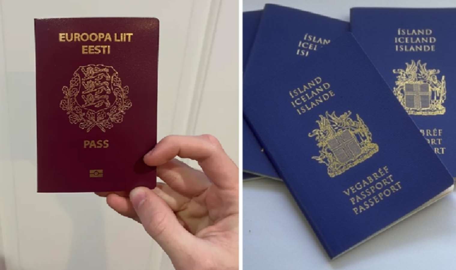 Dünyanın en güçlü pasaportu belirlendi