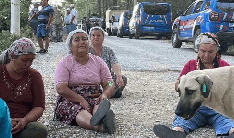 Akbelen Ormanı'na sabaha karşı baskın: Yurttaşlar direniyor!