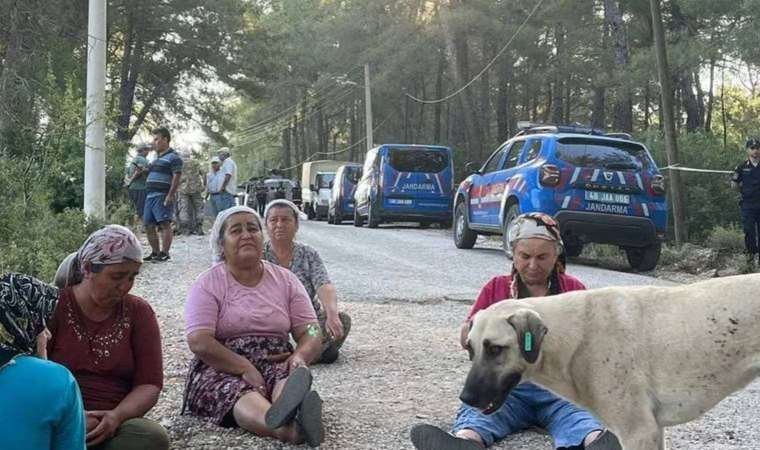 Jandarma şafak baskını düzenledi: Akbelen’e dokunma!