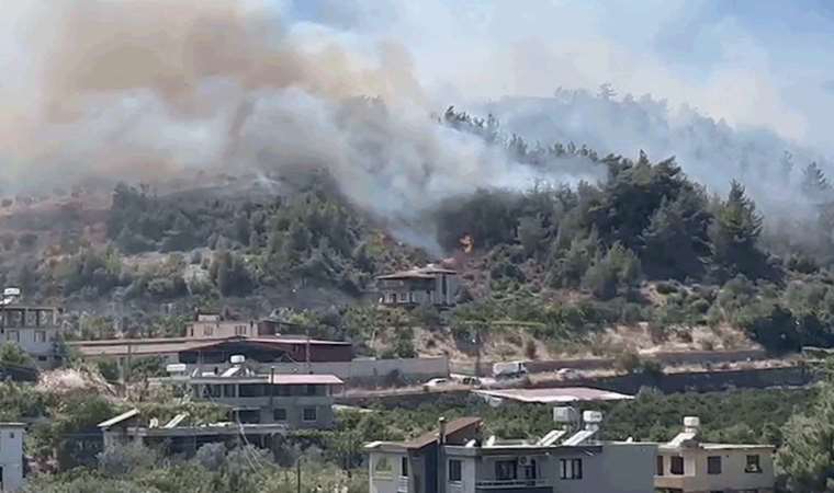 Son Dakika... Cumhuriyet olay yerinden bildiriyor: Hatay'da orman yangını!