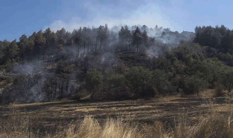 Son Dakika: Burdur'da orman yangını