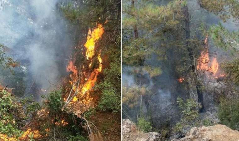 Osmaniye’de orman yangını kontrol altına alındı